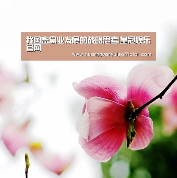 皇冠娱乐官网